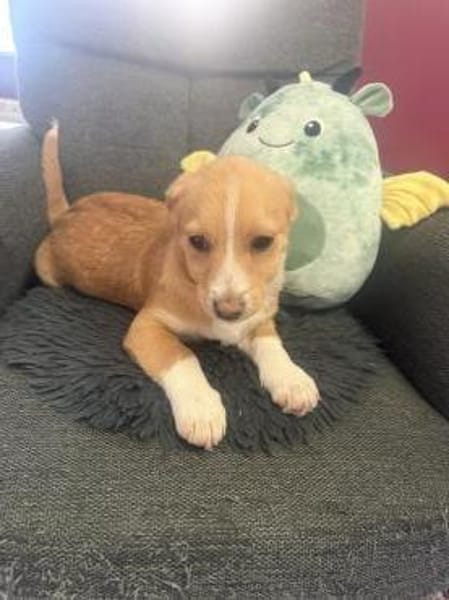 Nino ein tolles kleines Kerlchen