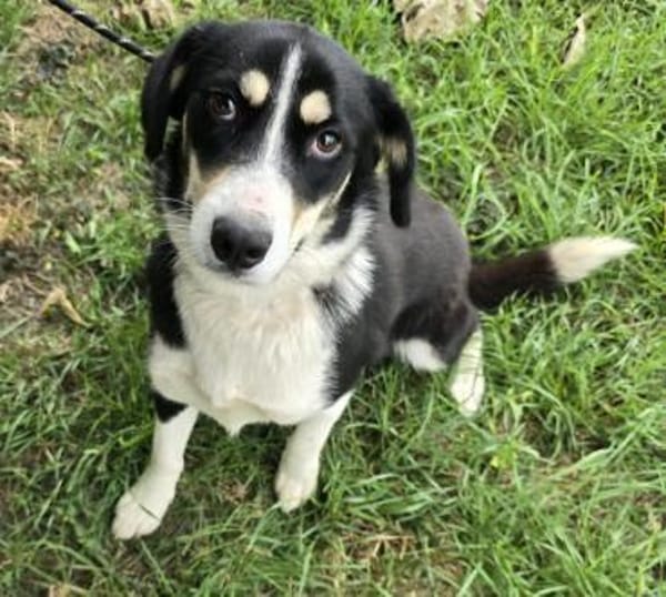 Nadia zartes Seelchen