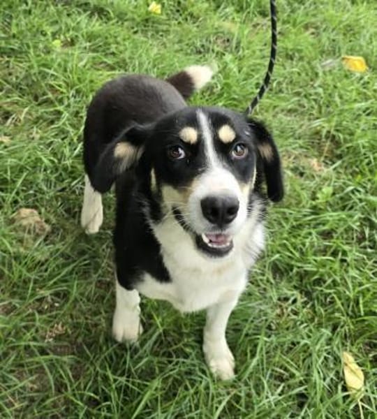 Nadia zartes Seelchen