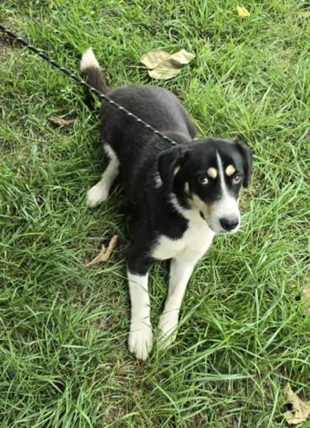 Nadia zartes Seelchen