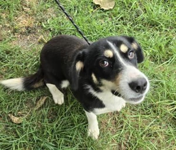 Nadia zartes Seelchen