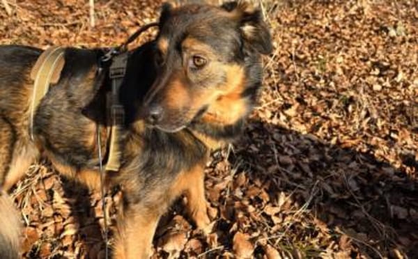 Verliebst du dich in Jana?