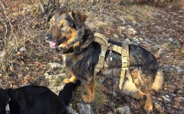 Verliebst du dich in Jana?