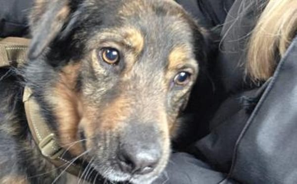 Verliebst du dich in Jana?