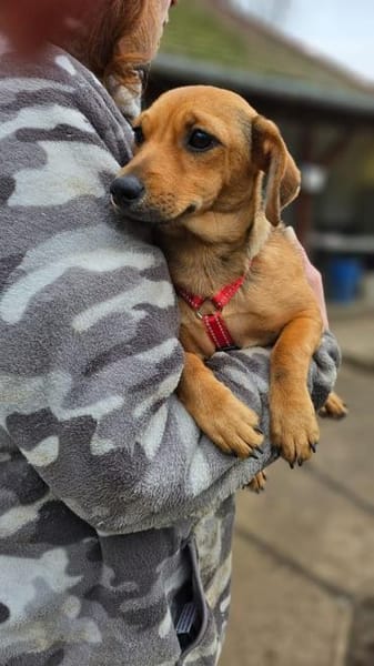 Zauberhafte Kloè in 56220 Bassenheim