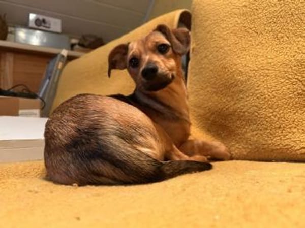 Zauberhafte Kloè in 56220 Bassenheim