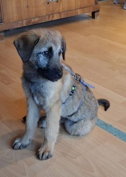 Lias - zarter Schatz wartet in Hofheim