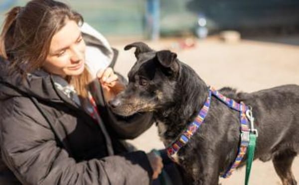 Der sanfte Berny möchte endlich ankommen