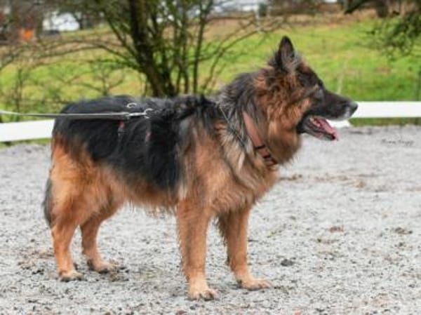 Ayo sucht aktive Menschen