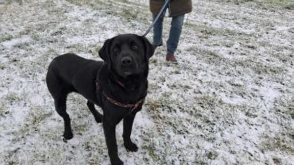 Unglaublich liebe ausgeglichene MIRA ♥