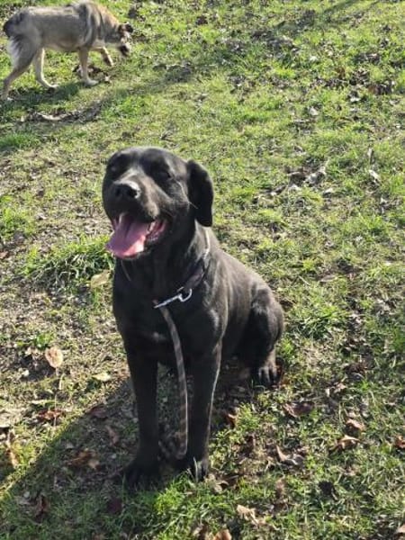 Unglaublich liebe ausgeglichene MIRA ♥