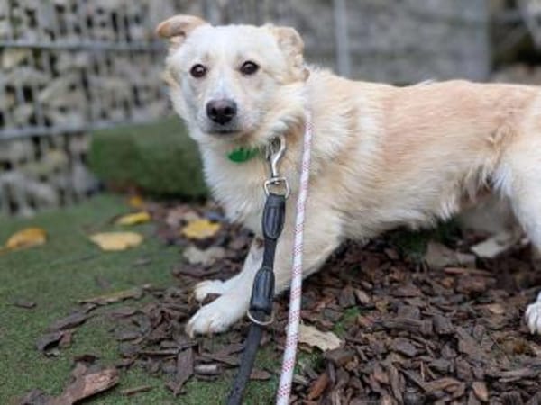 Filu, der kleine Eisbär 🐾