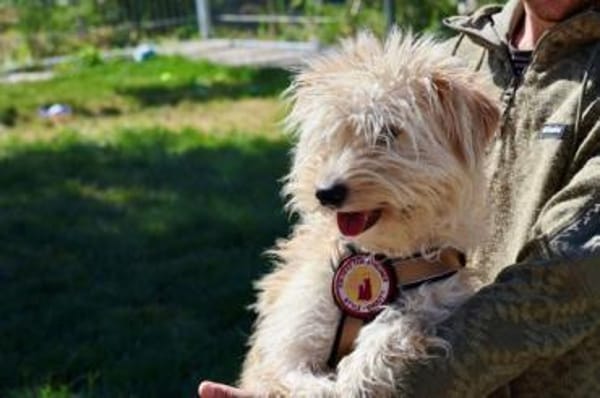 Freddie ist bereit für deine Abenteuer