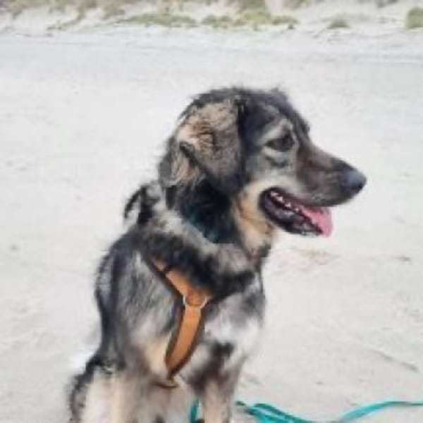 Kaja H - Die Hübsche 💕