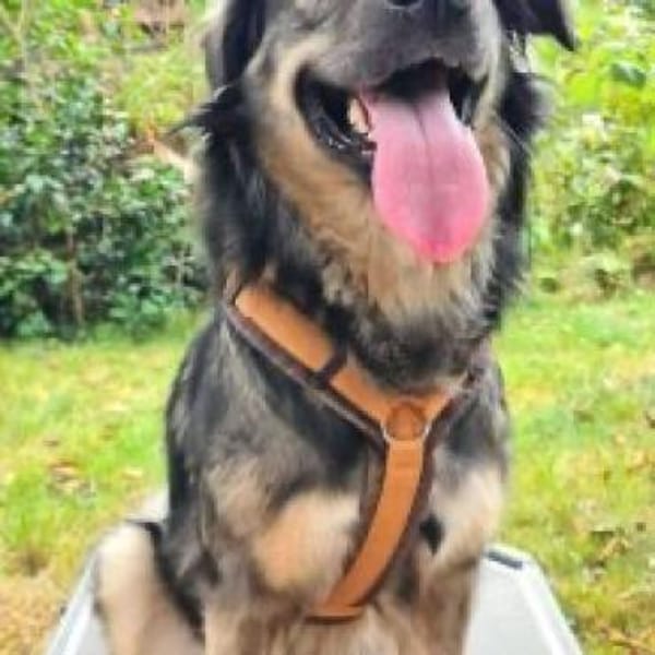 Kaja H - Die Hübsche 💕