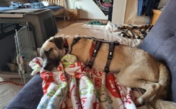 Payton sucht ihr perfect match