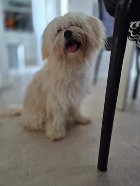 Happy - braucht nur noch dich 🍀