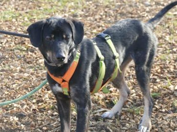 Fishermann - wartet in 97440 Werneck