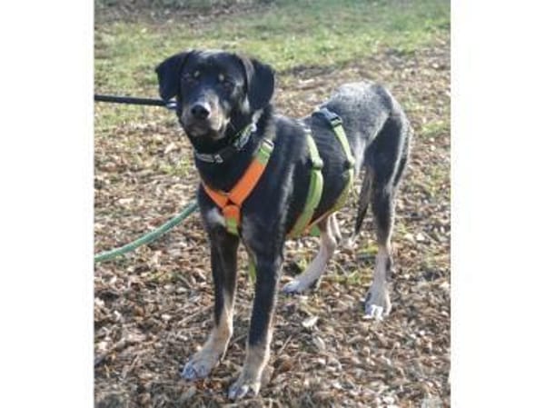 Fishermann - wartet in 97440 Werneck