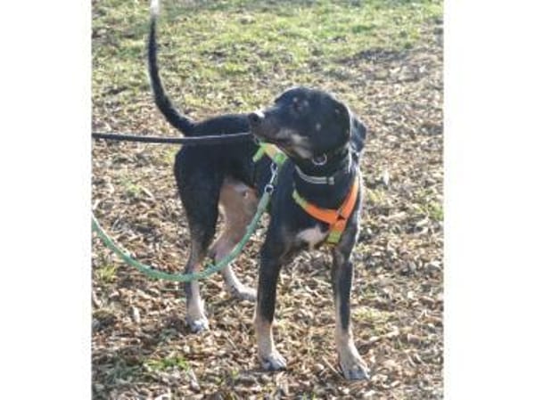 Fishermann - wartet in 97440 Werneck