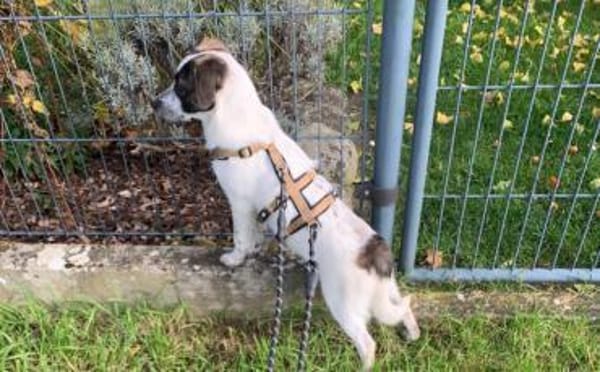 Helga ist bereit für ihr neues Leben