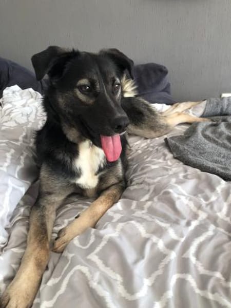 Mai - Marienkäferchen