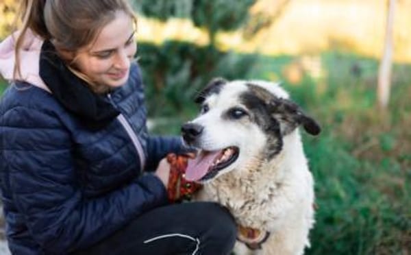 Rüdiger - unser rüstiger Rentner