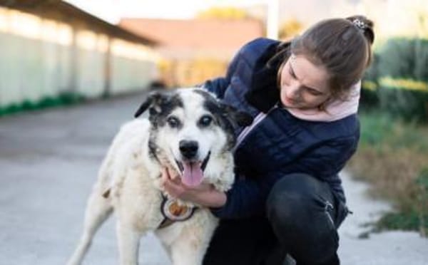 Rüdiger - unser rüstiger Rentner