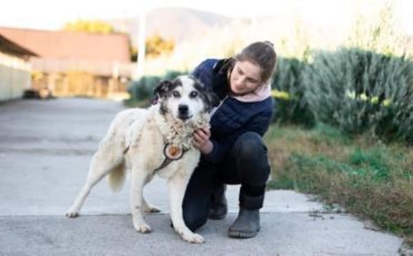 Rüdiger - unser rüstiger Rentner