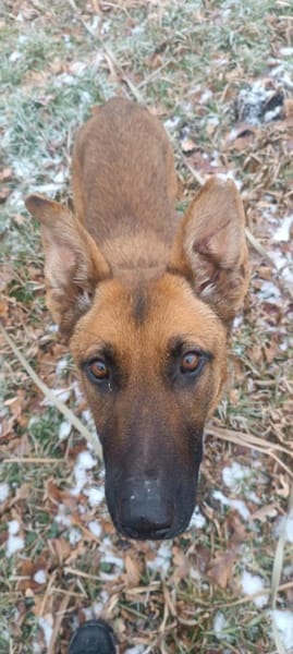 Kate wünscht sich endlich ein zu Hause .