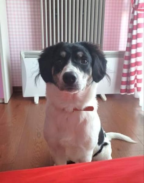 Hermes - wo darf ich endlich ankommen?