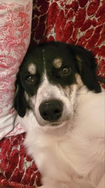 Hermes - wo darf ich endlich ankommen?