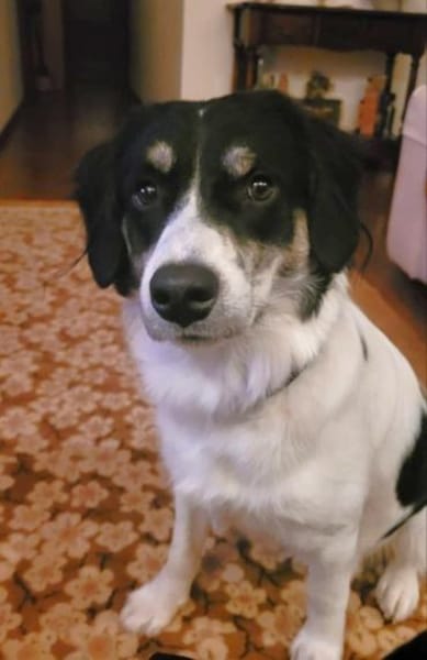 Hermes - wo darf ich endlich ankommen?