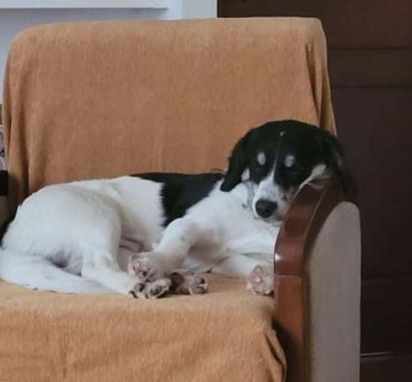 Hermes - wo darf ich endlich ankommen?