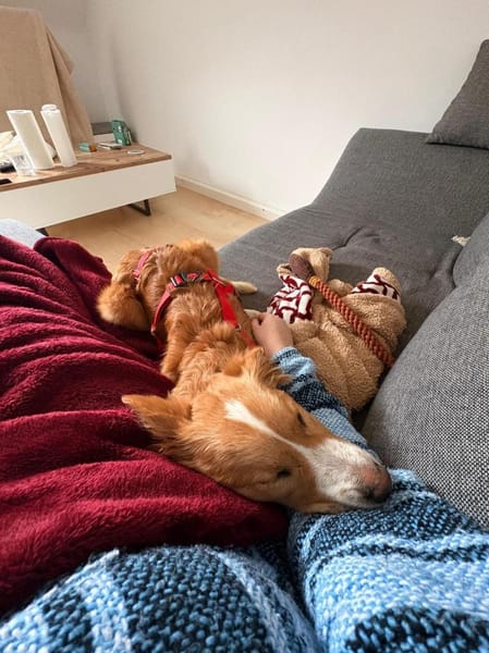 Balisha wartet auf PS in Erlangen!