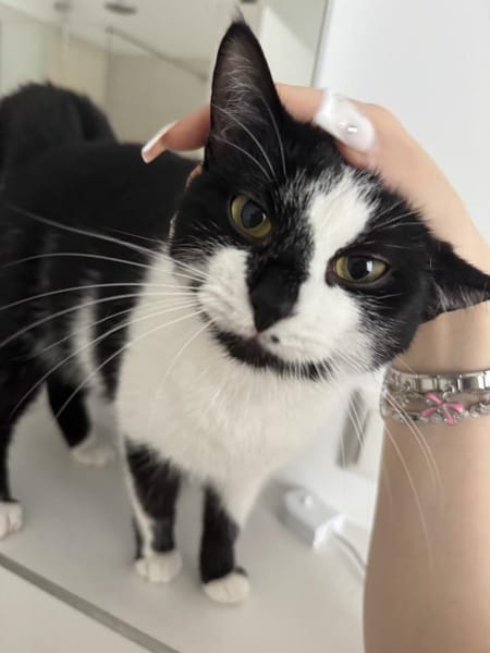 SUKI & RONJA suchen ihr Zuhause!