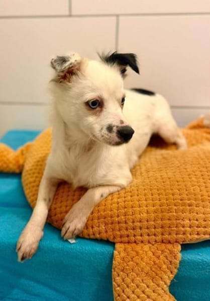 Louisa - schüchternes Girl 🍀