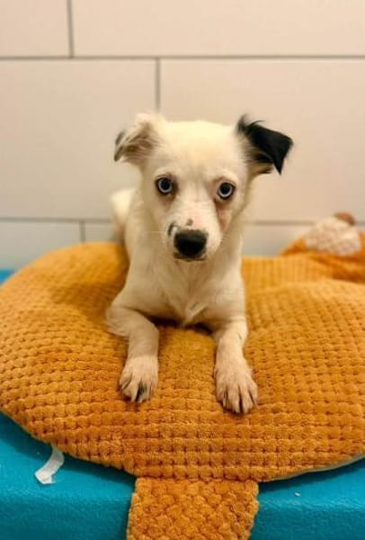 Louisa - schüchternes Girl 🍀