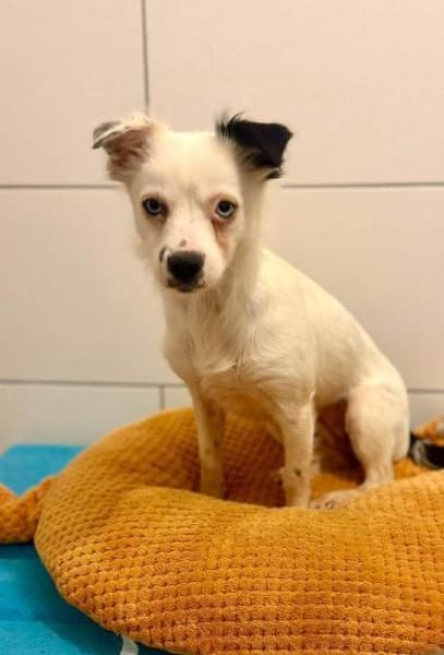 Louisa - schüchternes Girl 🍀