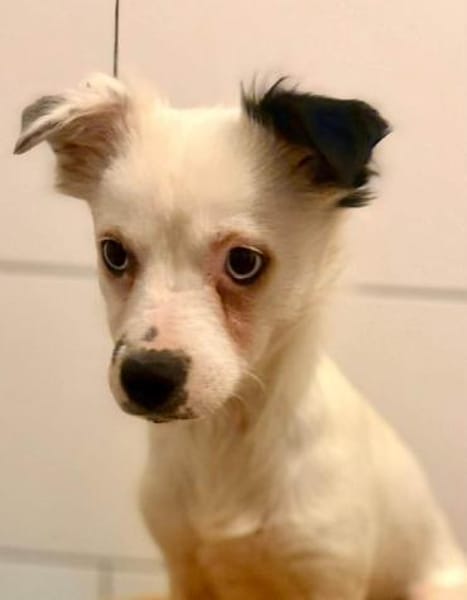 Louisa - schüchternes Girl 🍀