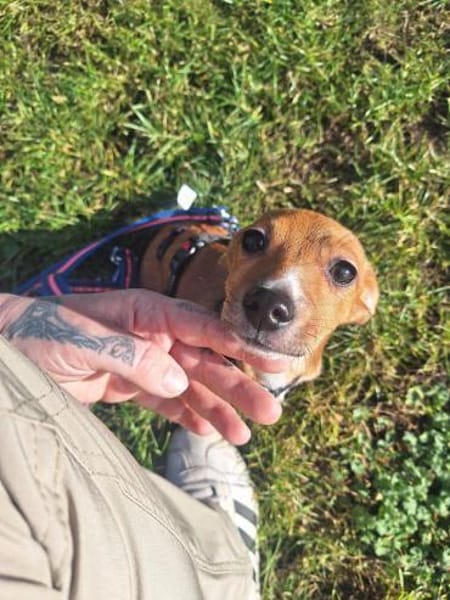 Süße Bella sucht ihren Edward🍀