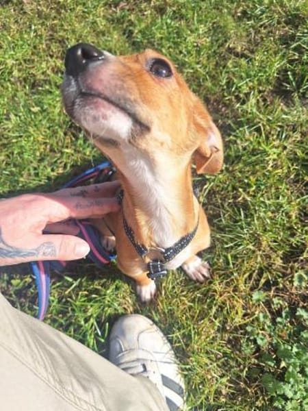 Süße Bella sucht ihren Edward🍀