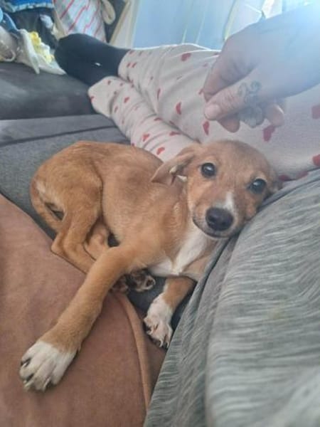 Süße Bella sucht ihren Edward🍀