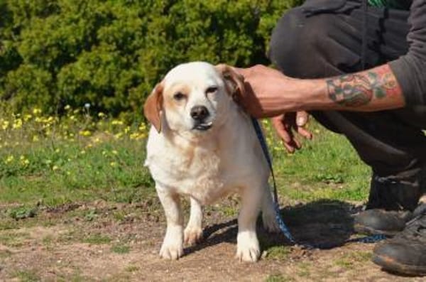 Kevin ist ein lieber, süßer Kerl