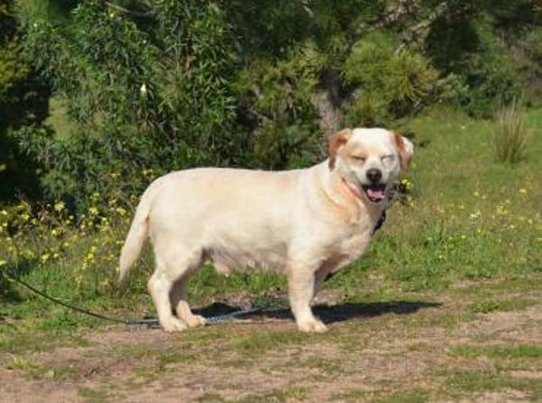 Kevin ist ein lieber, süßer Kerl