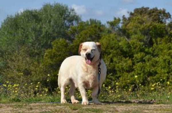 Kevin ist ein lieber, süßer Kerl