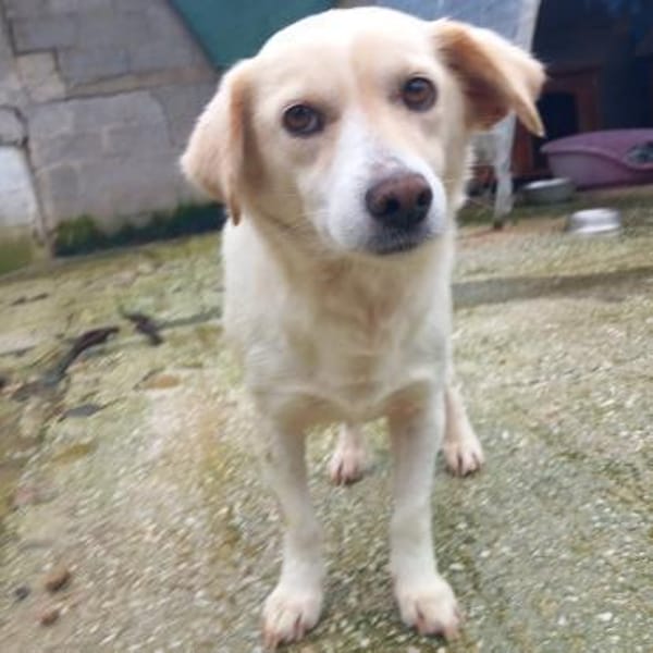 Mirka - eine sensible Zaubermaus