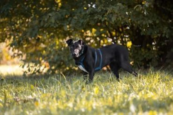 MACY -sucht erfahrene Menschen-