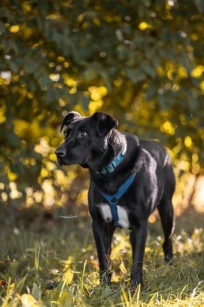 MACY -sucht erfahrene Menschen-