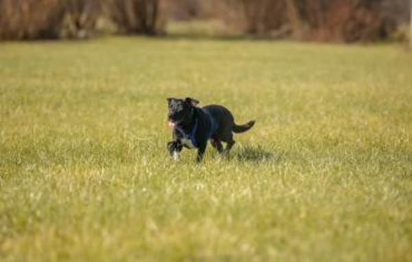 MACY -sucht erfahrene Menschen-